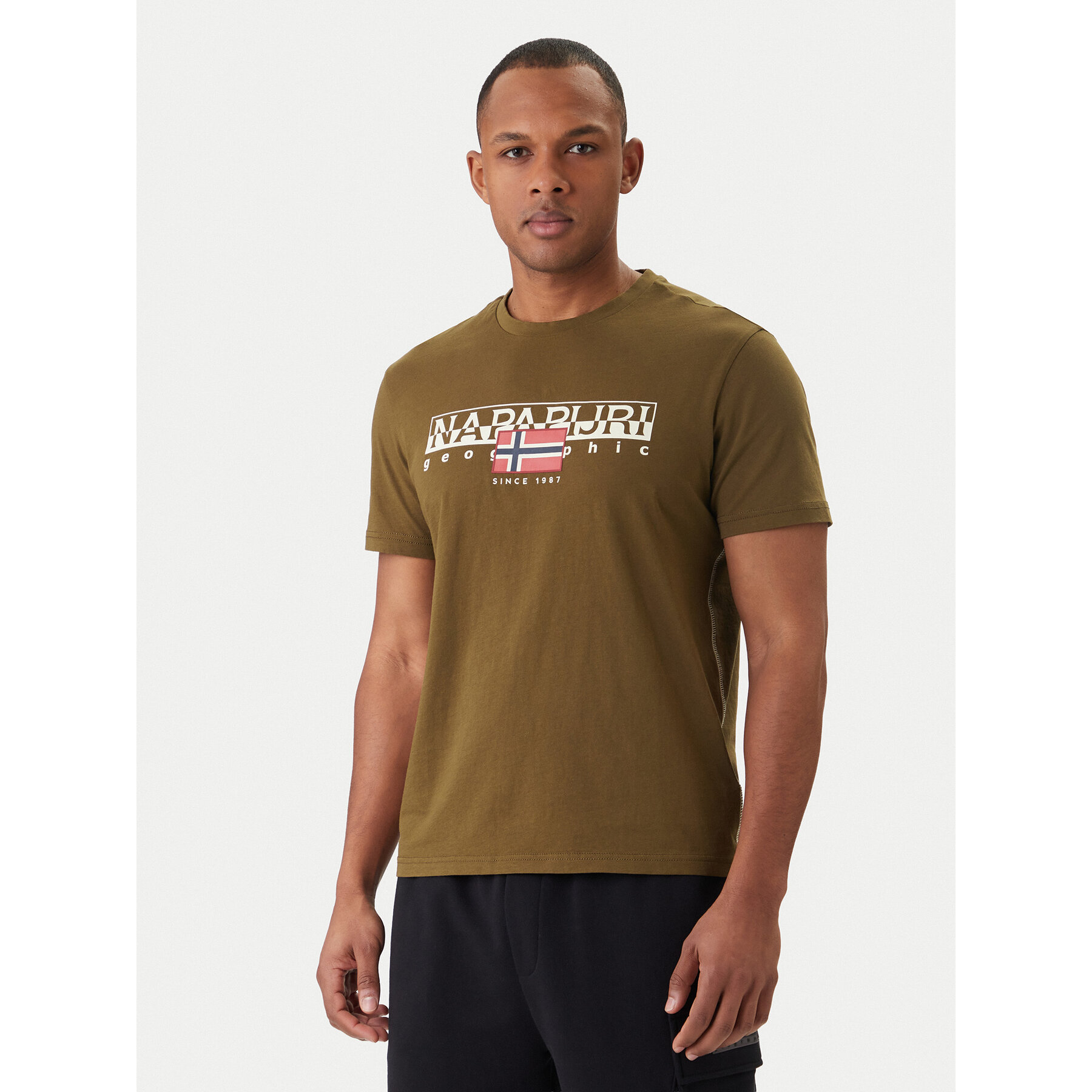 Napapijri T-Shirt S-Aylmer NP0A4HTO Grün Regular Fit