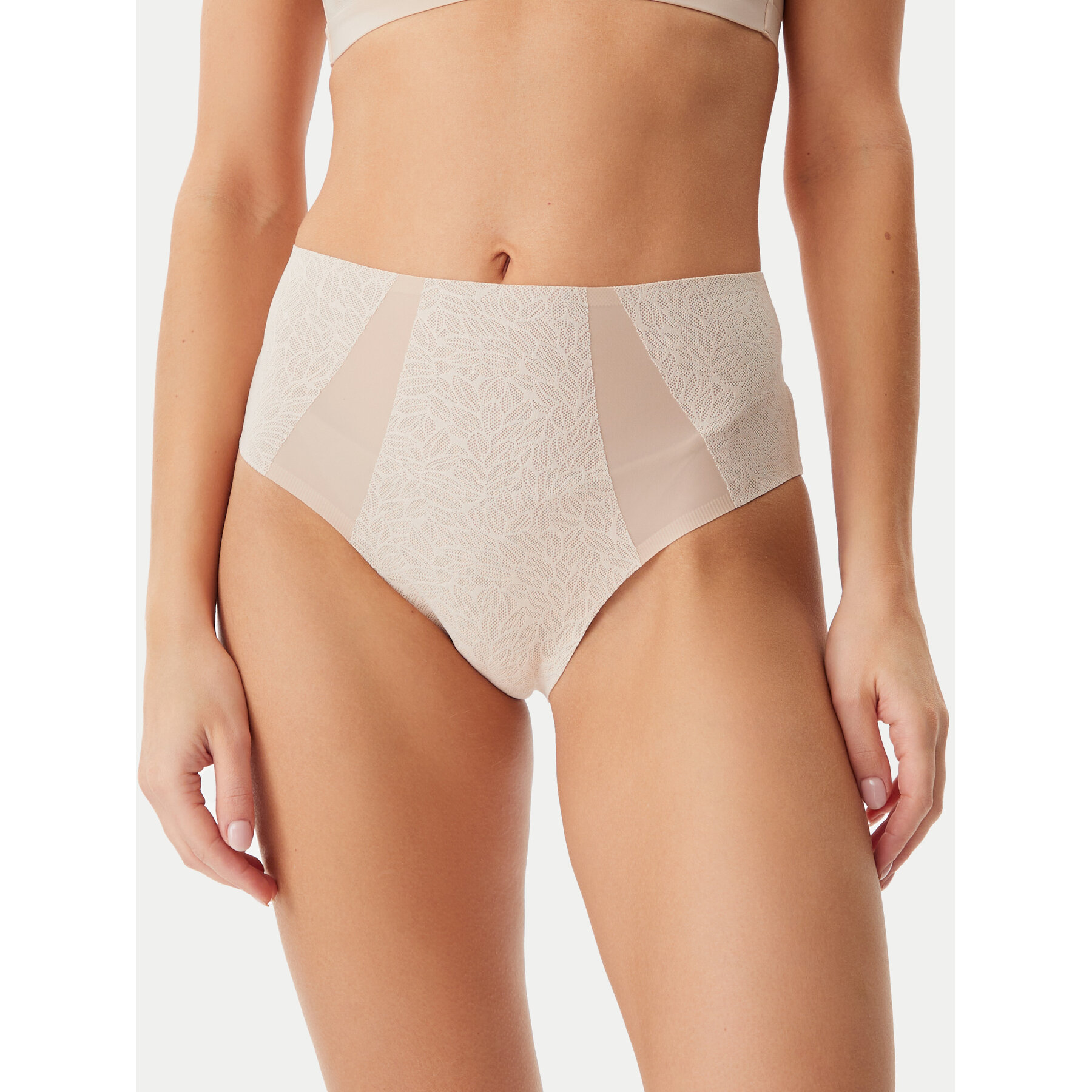 Chantelle Mutande classiche a vita alta C18IC5 Beige