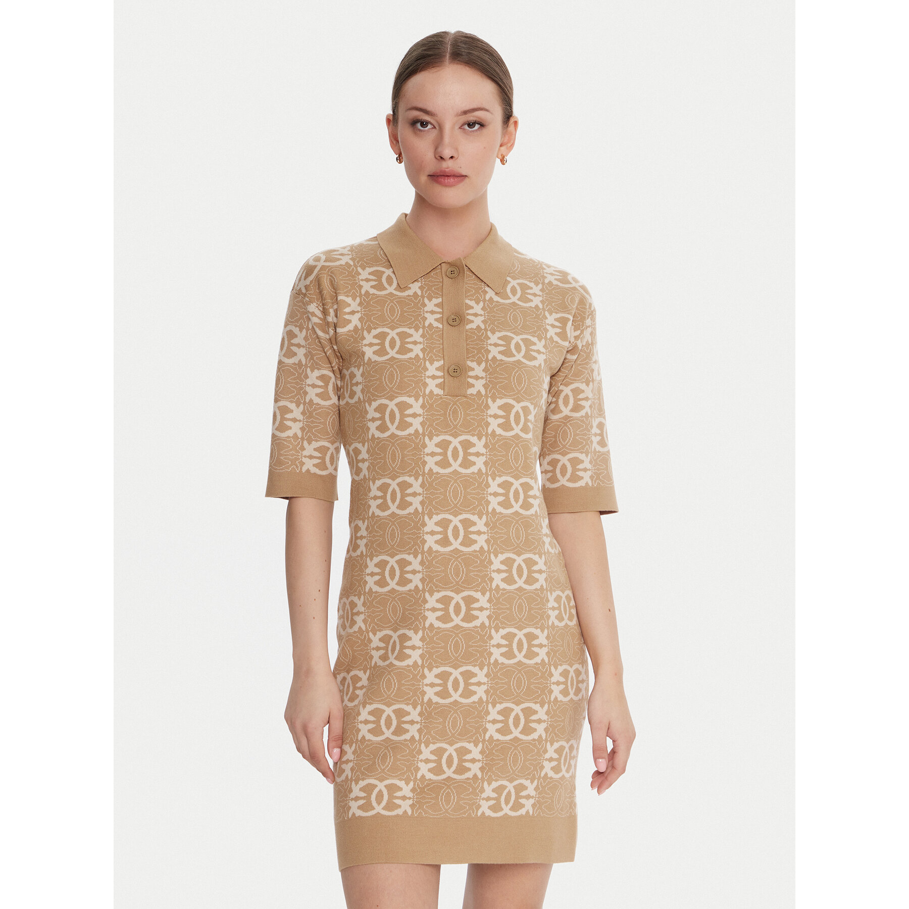 PINKO Strickkleid Nothing 106039 A2YD Beige Regular Fit