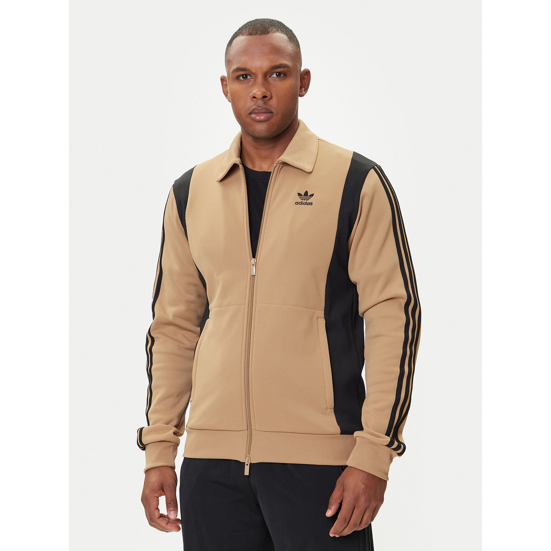 adidas Sweatshirt adicolor Panel JY1427 Beige Regular Fit