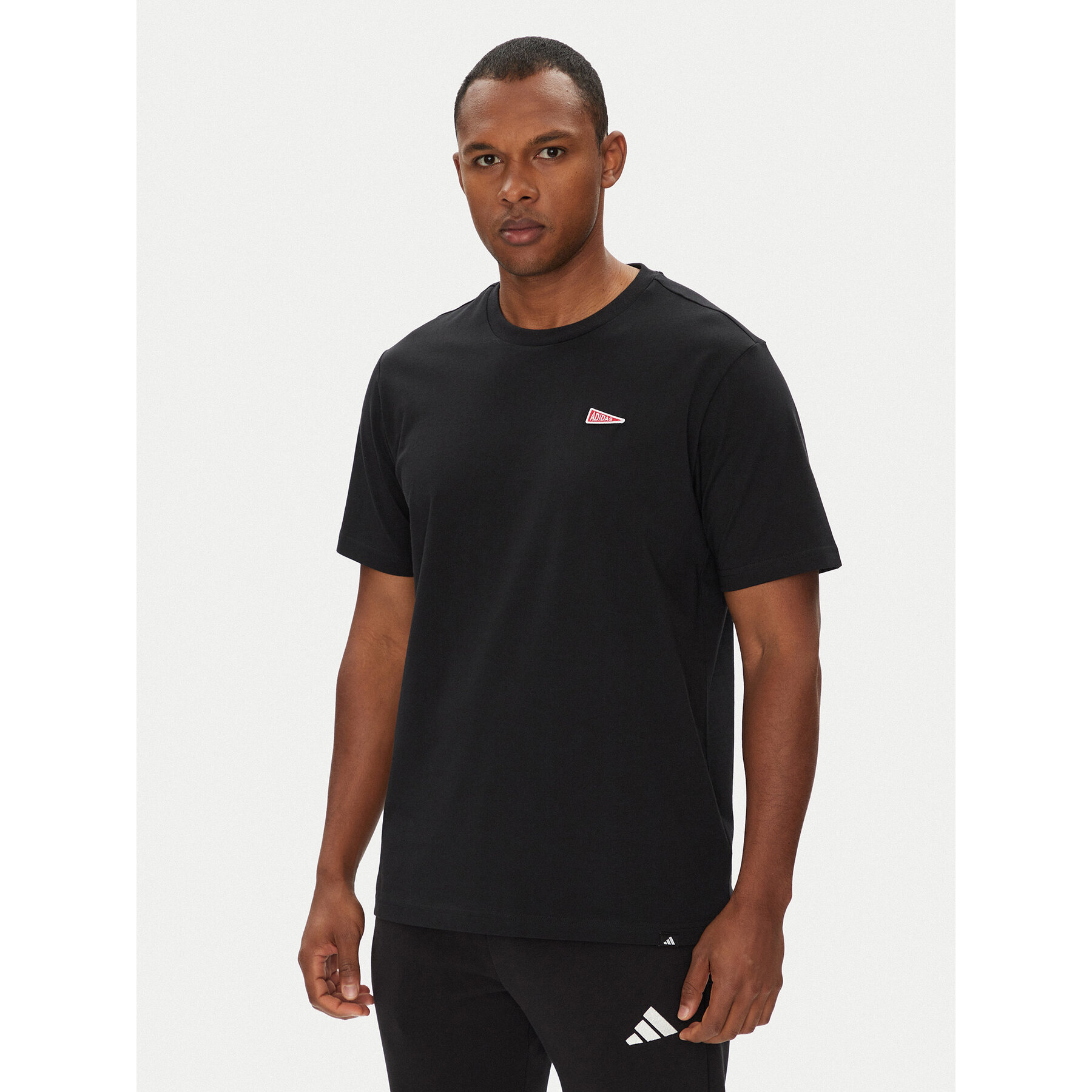 adidas T-shirt Pennant Trim Graphic JL9228 Crna Regular Fit
