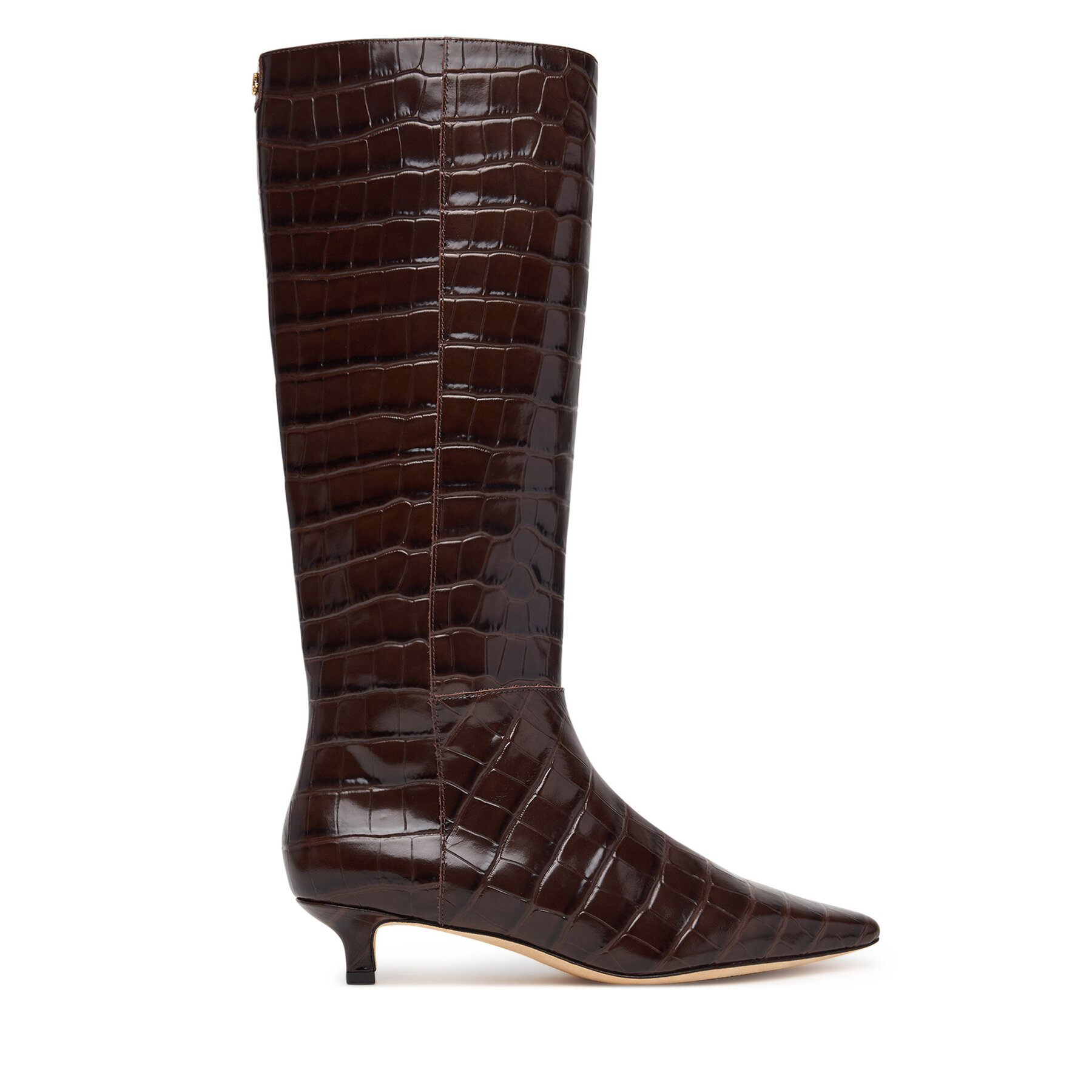Zimske čizme LAUREN RALPH LAUREN Frncsa Tl 802P18306001 Tamno smeđa