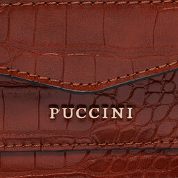 

Сумка Puccini BK2231186M 2, Коричневий