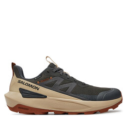 Salomon Αθλητικά Salomon Elixir Activ Gore-Tex L47560400 Γκρι