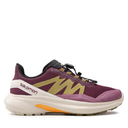 

Взуття Salomon Hypulse W 415956 20 W0 Grape Wine/Rainy Day/Green Moss, Фіолетовий