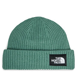 The North Face Căciulă The North Face Salty Lined BeanieNF0A3FJWI0F1 Verde