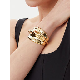 Elisabetta Franchi Brățară Elisabetta Franchi BC-59B-51E2 Auriu