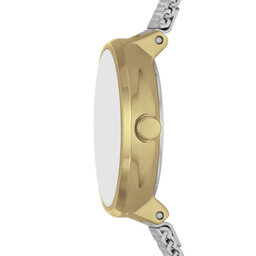 

Годинник Skagen, Срібний