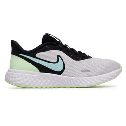 

Взуття Nike Revolution 5 BQ3207 009 Pure Platinum/Glacier Ice, Білий