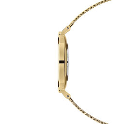 

Годинник Daniel Wellington Petite Yg Mesh DW00100346 Gold, Золотий