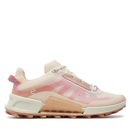 Ecco cipok sales