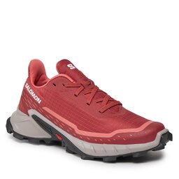Salomon Boty Salomon Alphacross 5 W 473136 22 W0 Cow Hide/Ashes Of Roses/Faded Rose