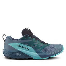 

Взуття Salomon Sense Ride 5 Gore-Tex L47147400 Carbon/Blue Radiance/China Blue, Сірий