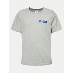 Reebok Reebok T-Shirt Not A Spectator Tee 100076407 Grau Regular Fit