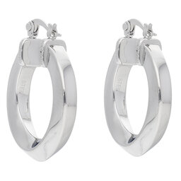 

Сережки Guess, Срібний