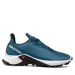 

Взуття Salomon Alphacross 3 415997 26 W0 Blue Steel/Lunar Rock/Black, Голубий