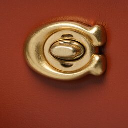 

Сумка Coach Cc Sig Bk Crryall 28 CE733 Tan Rust, Бордовий