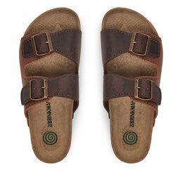 

Шльопанці Dr. Brinkmann 602866-2 Brown, Коричневий