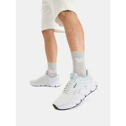 Reebok Laufschuhe Reebok EO-ZIG DYNAMICA 6 100244516 Grau