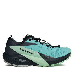 Salomon Παπούτσια για Τρέξιμο Salomon Sense Ride 5 Gore-Tex L47216000 Μπλε