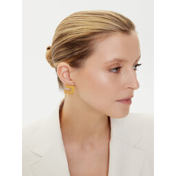 Elisabetta Franchi Pendientes Elisabetta Franchi OR-04A-56E2-V140 Oro