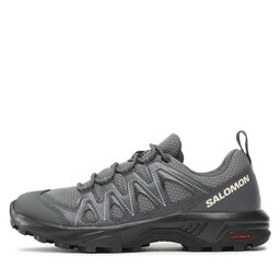 

Трекінгові черевики Salomon X Braze W 471802 20 V0 Pewter/Ebony/Rainy Day, Сірий