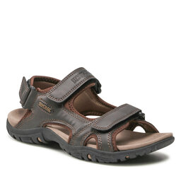 Regatta Sandalen Regatta Haris RMF331 Peat 6V3