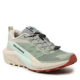 Salomon Schuhe Salomon Sense Ride 5 L47212300 Lily Pad/Rainy Day/Bleached Aqua