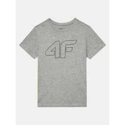 4F 4F Marškinėliai 4FJWMM00TTSHM1627 Pilka Regular Fit