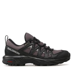 Salomon Sneakers Salomon X Braze Gtx GORE-TEX L47180700 Grau