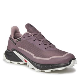 Salomon Scarpe Salomon Alphacross 5 Gtx W GORE-TEX 473110 23 W0 Moonscape/Black/White
