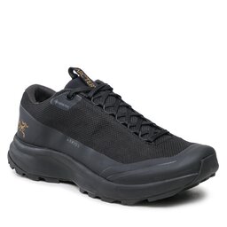 Arc'teryx Chaussures Arc'teryx AERIOS FL 2 GTX M 001704 BLACK/BLACK
