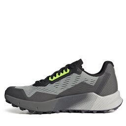 

Взуття adidas Terrex Agravic Flow 2.0 GORE-TEX IF5019 Wonsil/Crywht/Luclem, Сірий