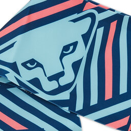 

Пов'язка Dynafit Graphic Performance Headband 08-71275 Marine Blue 8052, Голубий