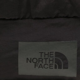 

Сумка на пояс The North Face Mtn Lumbar NF0A52TN4E51 Tnfblk/Antelptn, Чорний