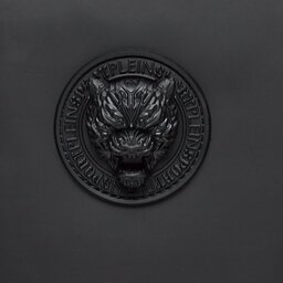 

Плоска сумка PHILIPP PLEIN 2100089 Black, Чорний