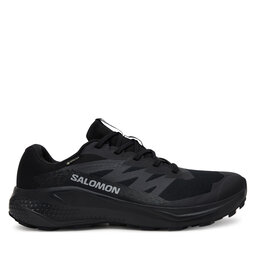 Salomon Παπούτσια για Τρέξιμο Salomon Alphaglide Gore-Tex L47802100 Μαύρο
