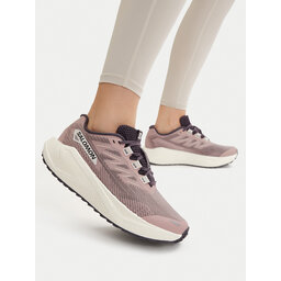 Salomon Laufschuhe Salomon Aero Blaze 3 Grvl W L49218000 Beige