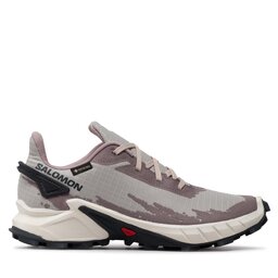 

Взуття Salomon Alphacross 4 Gtx W GORE-TEX 417232 20 V0 Ashes Of Roses/White/Ebony, Сірий