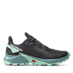 

Взуття Salomon Alphacross 4 Gtx W GORE-TEX 470668 20 V0 Ebony/Trellis/Yucca, Сірий