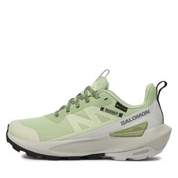 

Трекінгові черевики Salomon Elixir Activ Gore-Tex L47456300 Celadon Green / Glacier Gray / Phantom, Зелений