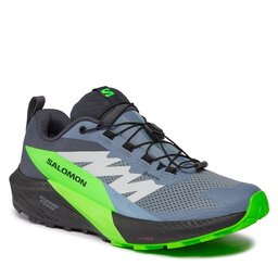 Salomon Scarpe Salomon Sense Ride 5 GORE-TEX L47312800 Flint Stone/Black/Green Gecko