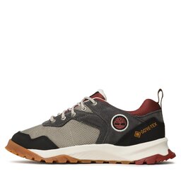 

Трекінгові черевики Timberland Lincoln Peak Low GTXTB0A5PT31101 Grey Mesh wGrey Lthr, Сірий
