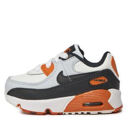 

Взуття Nike Air Max 90 Ltr (TD) CD6868 023 Pure Platinum/Black, Кольоровий