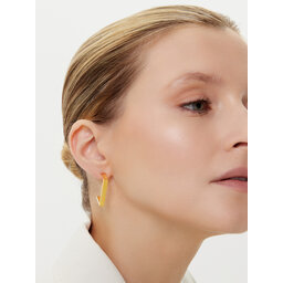 Elisabetta Franchi Обици Elisabetta Franchi OR-03K-56E2-V150 Златист