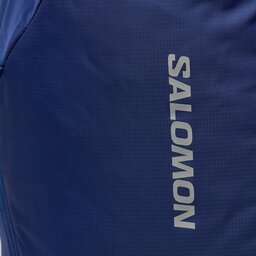 

Рюкзак Salomon Trailblazer 20 LC2182700 Mazarine Blue / Ghost Gray 16-4703 Tcx, Голубий