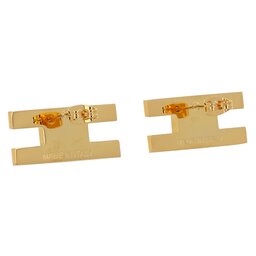 

Сережки Elisabetta Franchi OR-28M-41E2-V150 Oro Giallo U95, Золотий