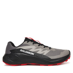 Salomon Взуття для бігу Salomon Alphaglide L48000800 Сірий