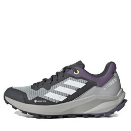 

Взуття adidas Terrex Trail Rider GORE-TEX IF5023 Wonsil/Crywht/Dgsogr, Сірий