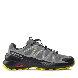 Salomon Scarpe running Salomon Speedcross Peak L47602600 Grigio